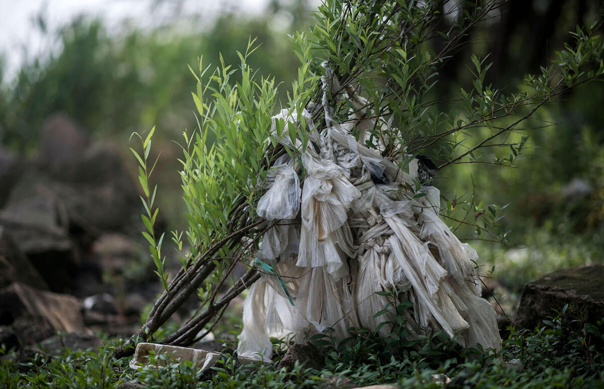 Sampah plastik terdampar di tepi pantai dan tersangkut di ranting pohon di pantai Shanghai, 13 Mei 2018